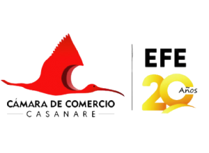 LOGO-EFE-20-AÑOS-transparente